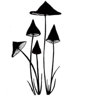 LAV151 Slender Mushrooms Mini