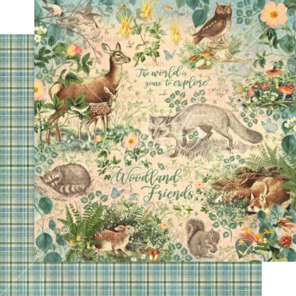 G45 Woodland Friends - Woodland Friends 12X12 paper