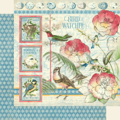 Bird Watcher - Bird Watcher 12X12 paper