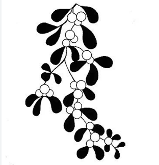 LAV091 Mistletoe