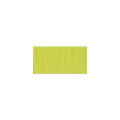 Bazzill Cardstock - Granny Smith