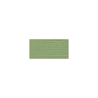 Bazzill Cardstock - Lily Pond