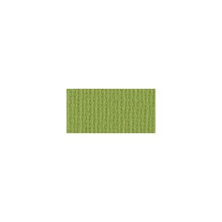 Bazzill Cardstock - Parakeet