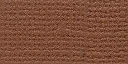 Bazzill Cardstock - Cinnamon Stick