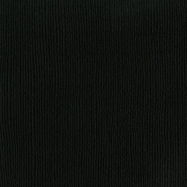 Bazzill Cardstock - Raven