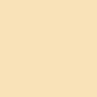 Bazzill Cardstock - Touch of Pink