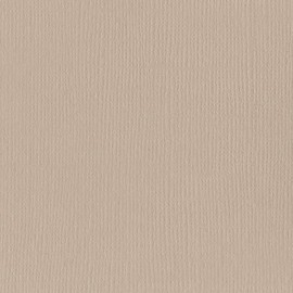 Bazzill Cardstock - Twig