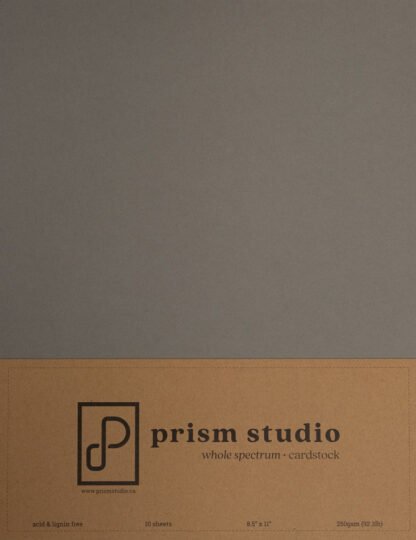 Prism Studio - Heavy Weight Cardstock Silverleaf Willow 8 1/2 X 11