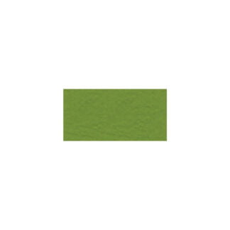 Bazzill Cardstock - Intense Kiwi