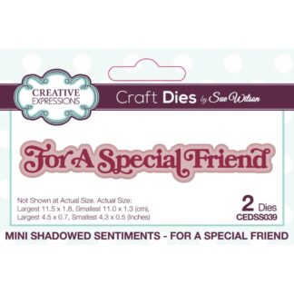 Creative Expressions - Mini Shadow Sentiments - For a Special Friend CEDSS039