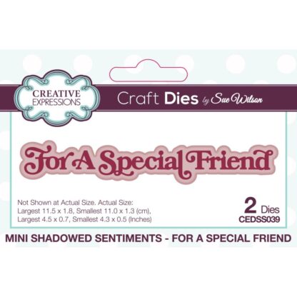 Creative Expressions - Mini Shadow Sentiments - For a Special Friend CEDSS039