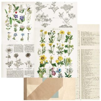 49 & Market - 12X12 paper - Curators Botanical - Pressed Petals