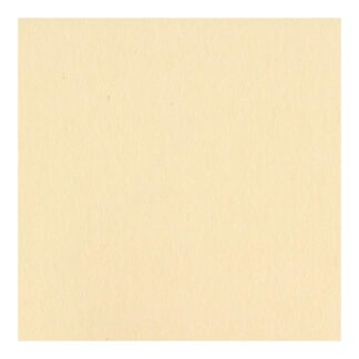 Bazzill Cardstock - Pigment