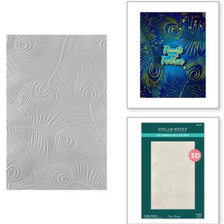 Spellbinders - 3D embossing folder - Feather Flourish