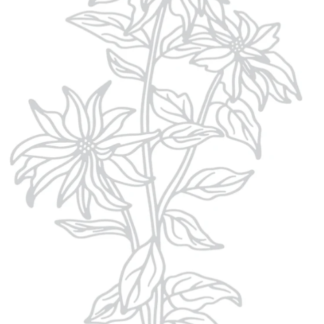 LDRS Creative - The Christmas Flower Impress-ion Press & Foil Plate 8455