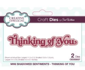 Creative Expressions - Mini Shadow Sentiments - Thinking Of You CEDSS037