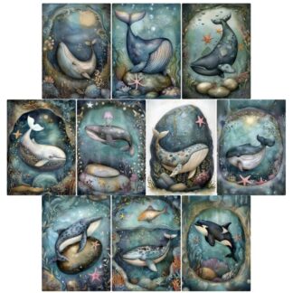 SSD - Whimsical Whales Project Base 3.5"X5" STANDARD cardstock