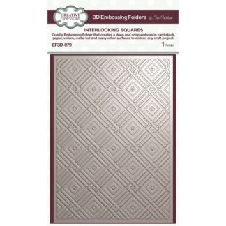 Creative Expressions - 3D Embossing Folder - Interlocking Squares EF3D-079