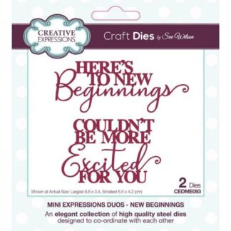 Creative Expressions - Mini Expressions Duos - New Beginnings CEDME093