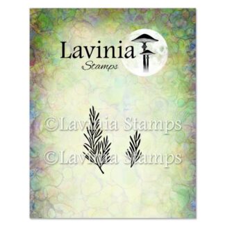 LAV947 Rosemary