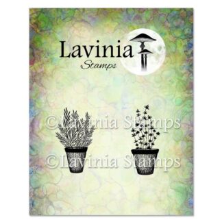 LAV948 Rosemary & Thyme Pots