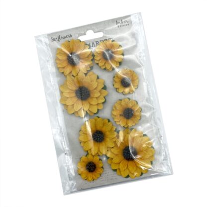 49 & Market - Sunflowers - Amber