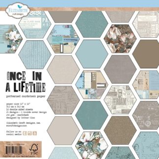 ECD - Once in a Lifetime - 12 x 12 papers