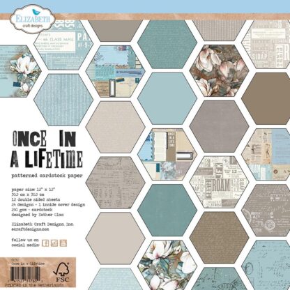 ECD - Once in a Lifetime - 12 x 12 papers