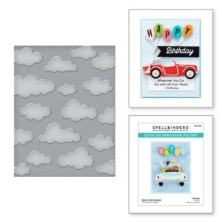 Spellbinders - Detailed Embossing Folder - Head in the Clouds